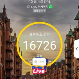 피드에 업로드 된 이미지