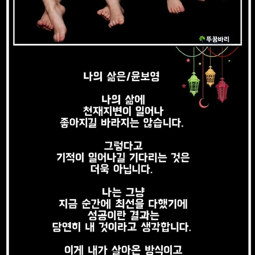 피드 이미지