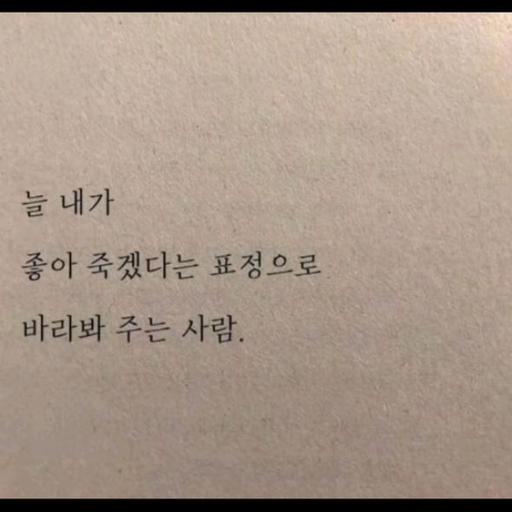 피드 이미지