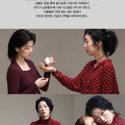 피드 이미지
