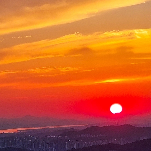 피드 이미지