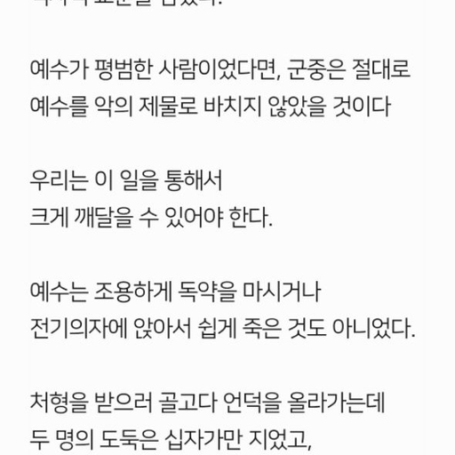 피드 이미지