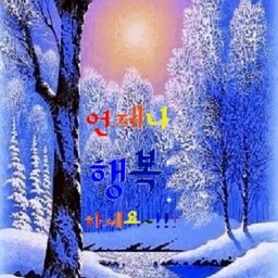 피드에 업로드 된 이미지