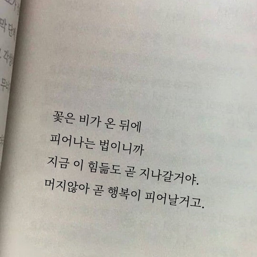 피드 이미지