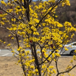 피드에 업로드 된 이미지