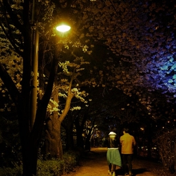 피드에 업로드 된 이미지