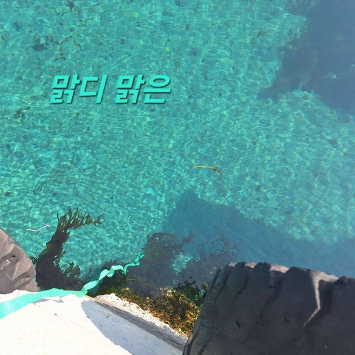 피드 이미지