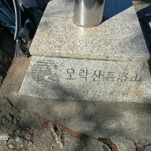 피드 이미지