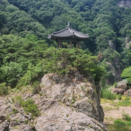 피드에 업로드 된 이미지