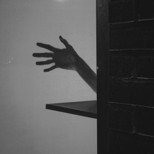피드 이미지
