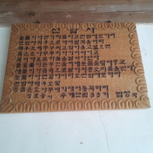 피드 이미지