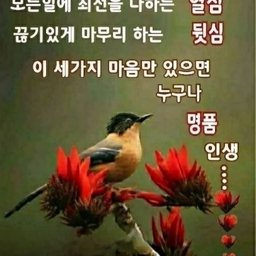 피드에 업로드 된 이미지