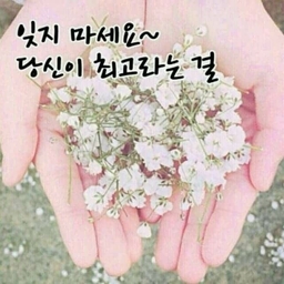 피드에 업로드 된 이미지