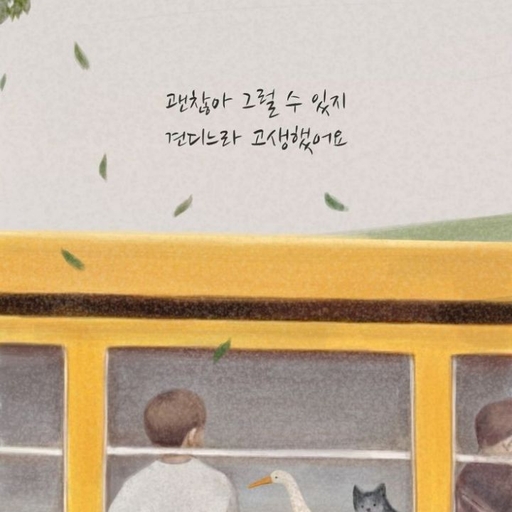 피드 이미지