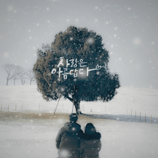 피드 이미지