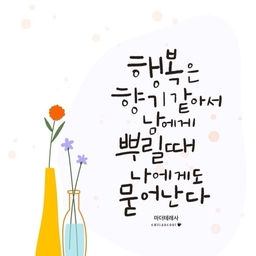 피드에 업로드 된 이미지