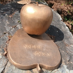 피드에 업로드 된 이미지