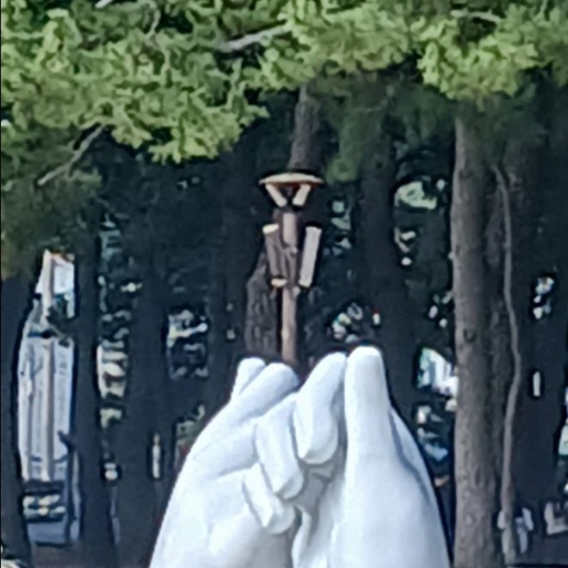 피드 이미지