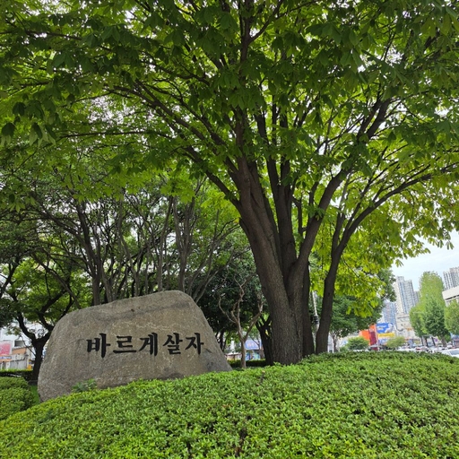 피드 이미지