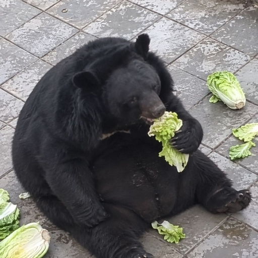 피드 이미지