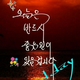 피드에 업로드 된 이미지