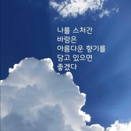 피드에 업로드 된 이미지