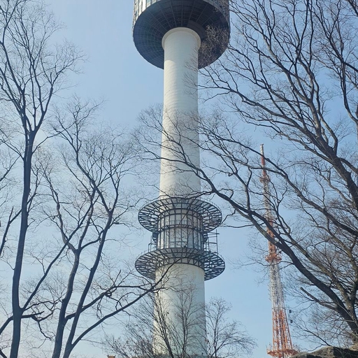 피드 이미지