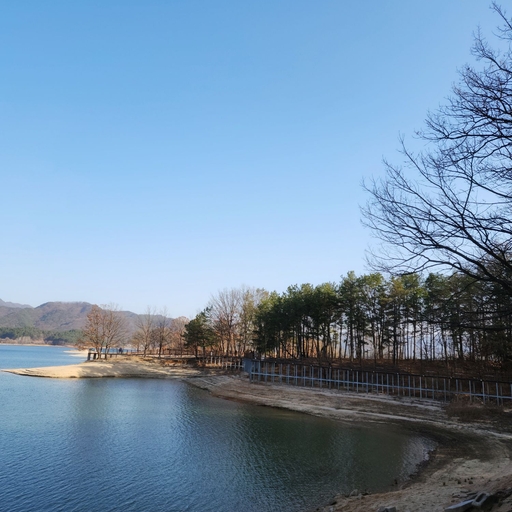 피드 이미지