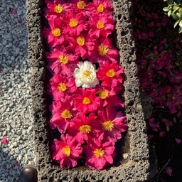 피드에 업로드 된 이미지