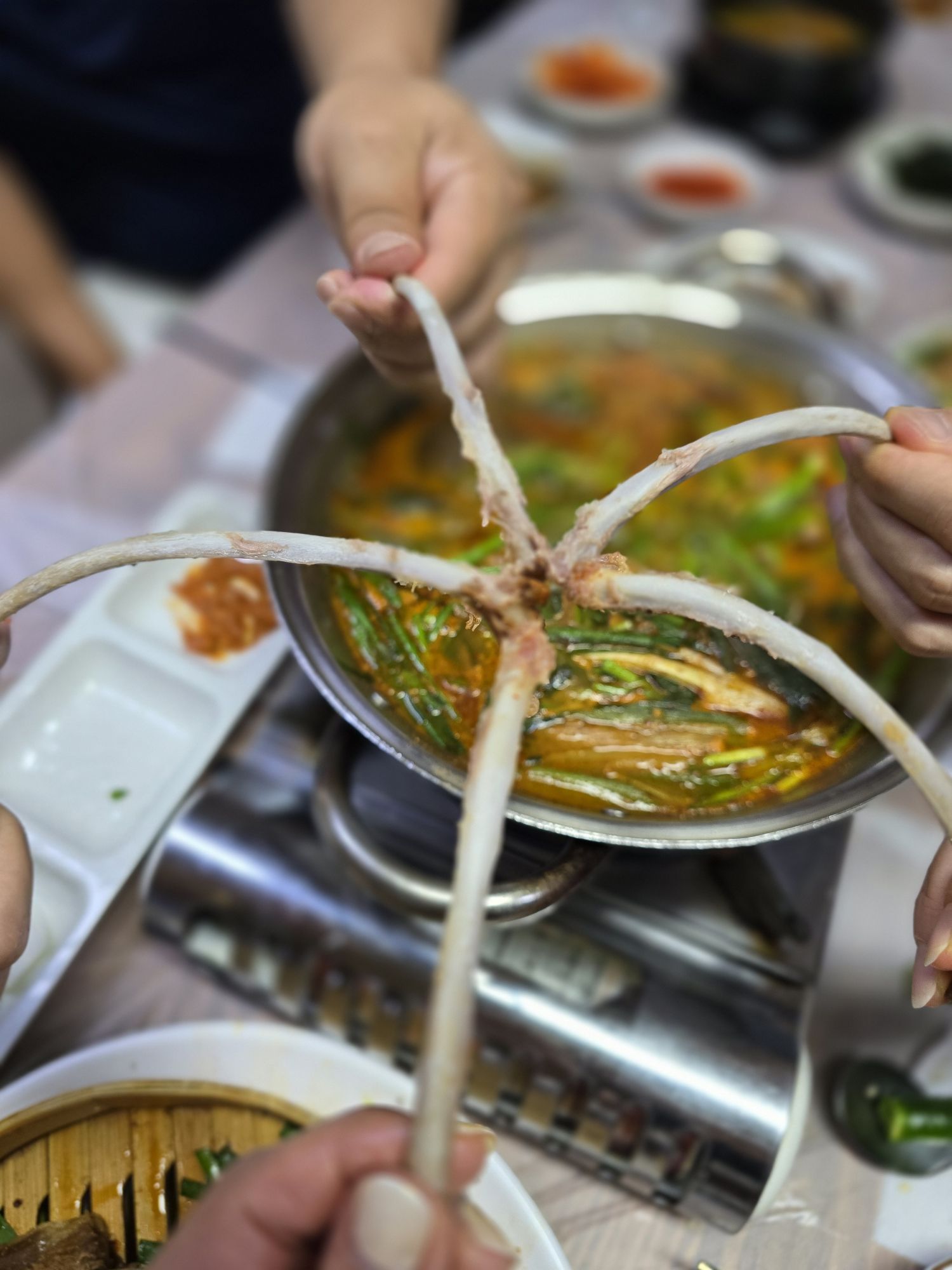 피드 이미지