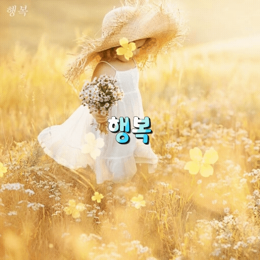 피드 이미지