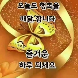 피드에 업로드 된 이미지