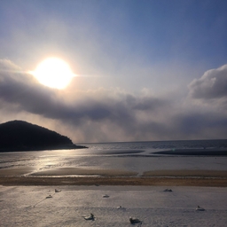 피드에 업로드 된 이미지