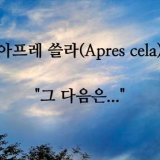 피드 이미지