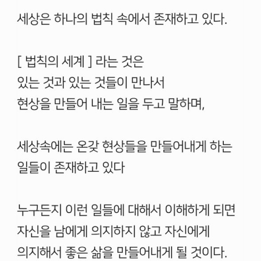 피드 이미지