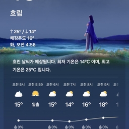 피드에 업로드 된 이미지