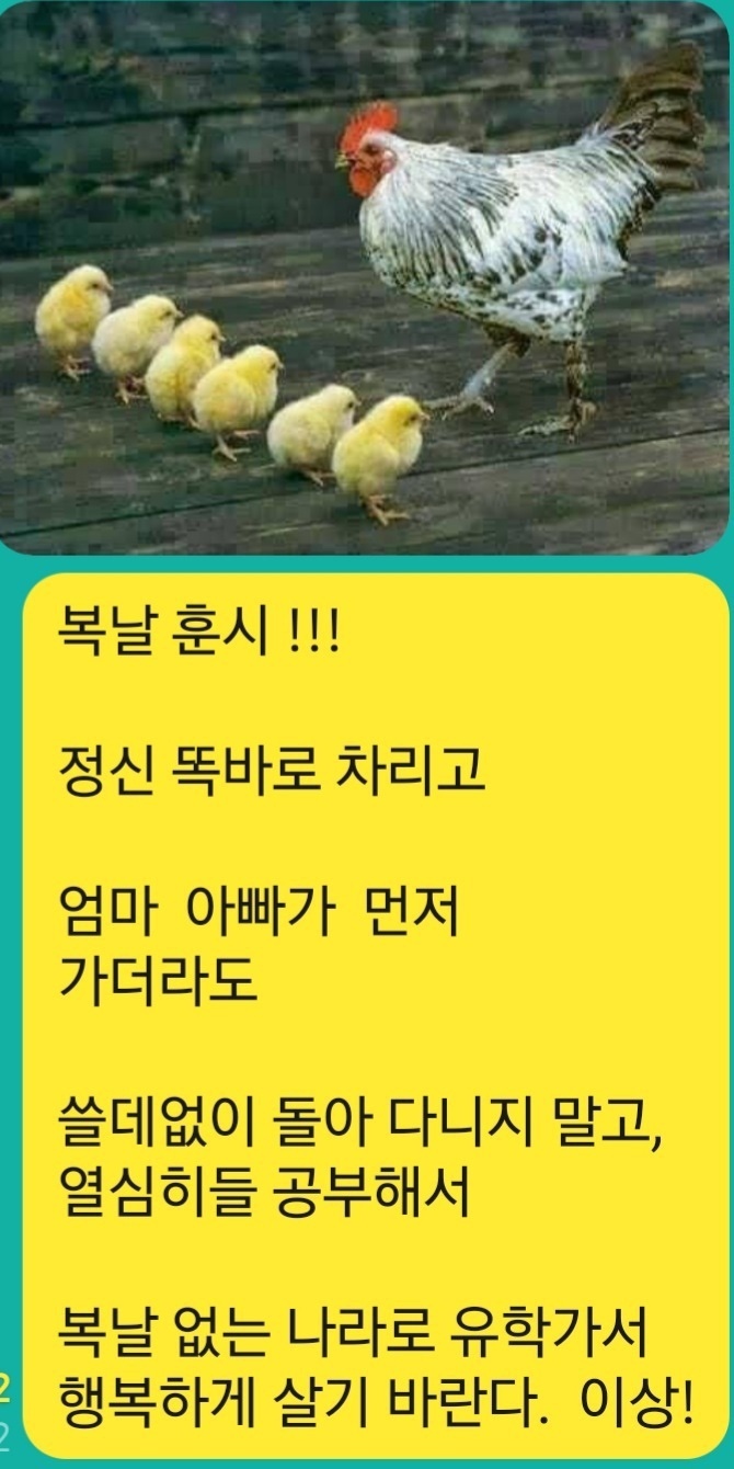 피드에 업로드 된 이미지