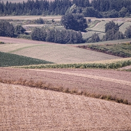 모임 이미지