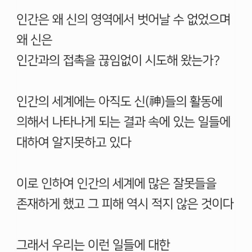 피드 이미지