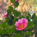 피드 작성자 프로필