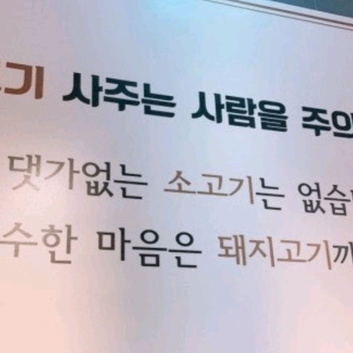 피드 이미지