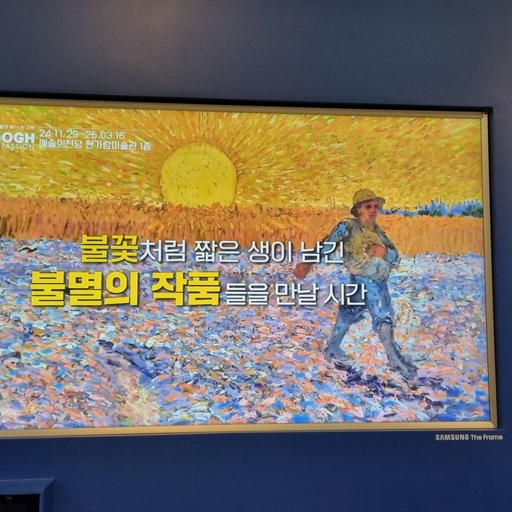 피드 이미지