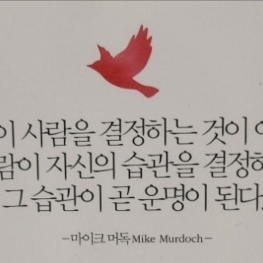 피드 이미지