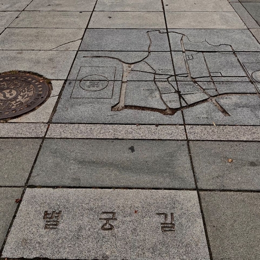 피드 이미지