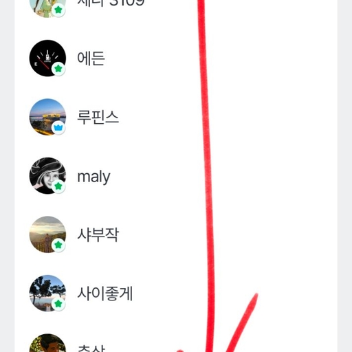 피드 이미지