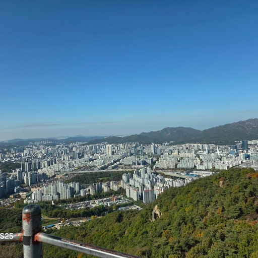 피드 이미지