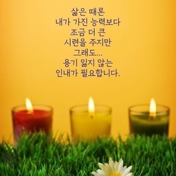 피드에 업로드 된 이미지