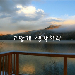 피드에 업로드 된 이미지