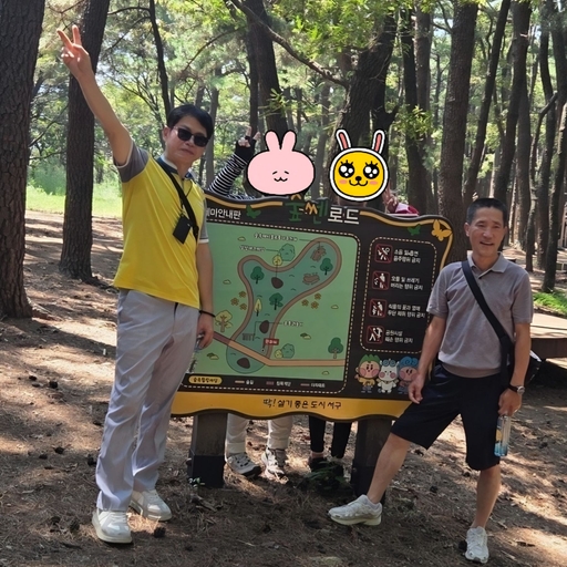 피드 이미지
