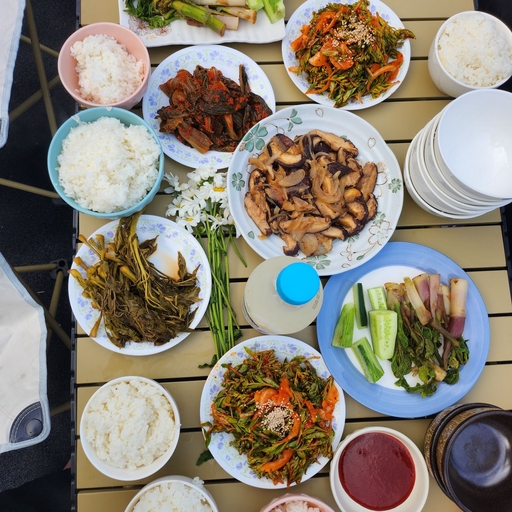 피드 이미지